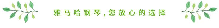 这才是真相：绿色关爱，BG大游的环境政策