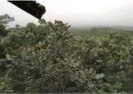 这才是真相：绿色关爱，BG大游的环境政策