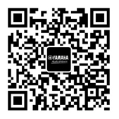 【通知】2022年9月21日起 BG大游吉他产品价格小幅上调